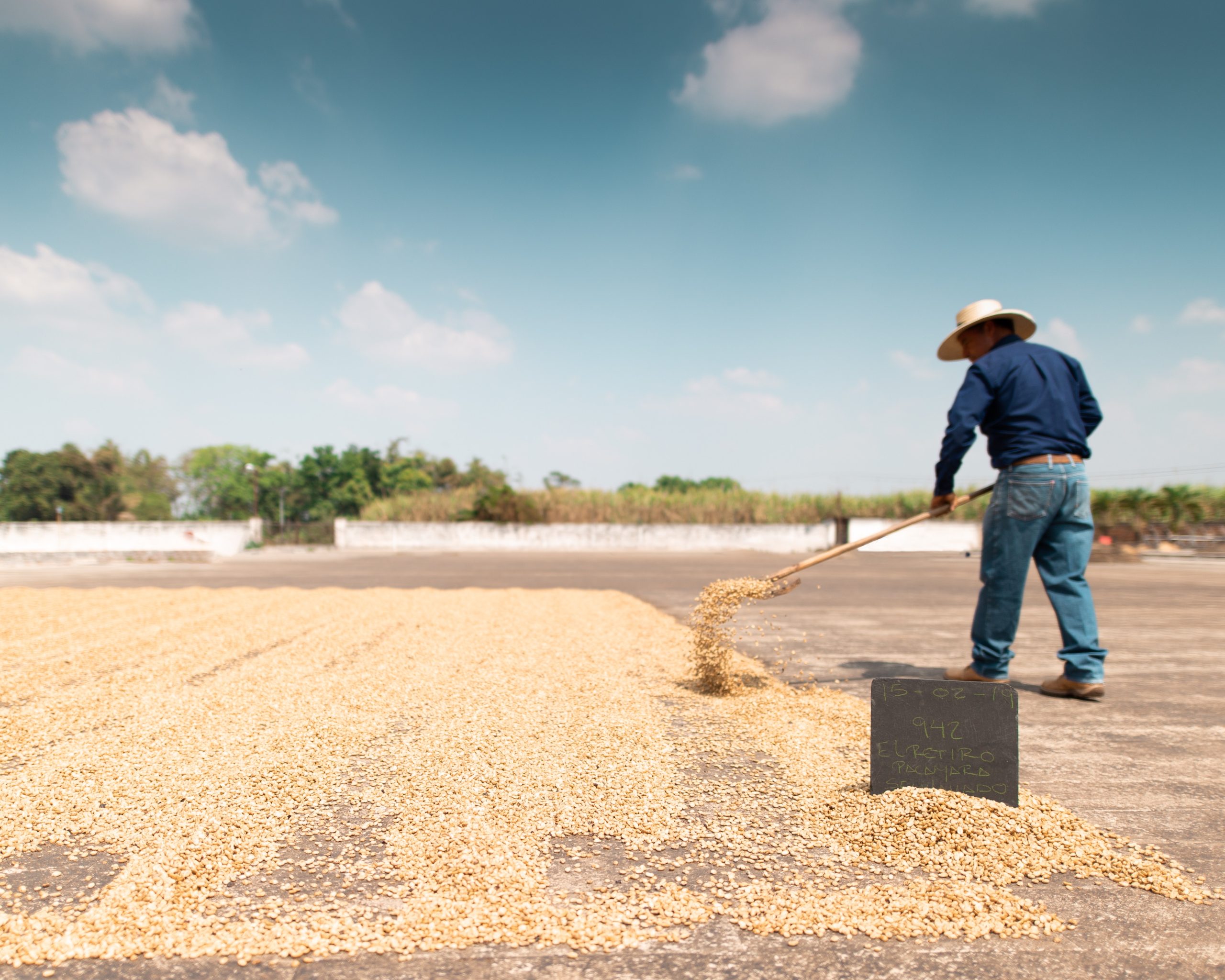 Crop Storage Farms