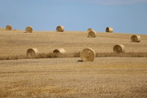 Hay Storage